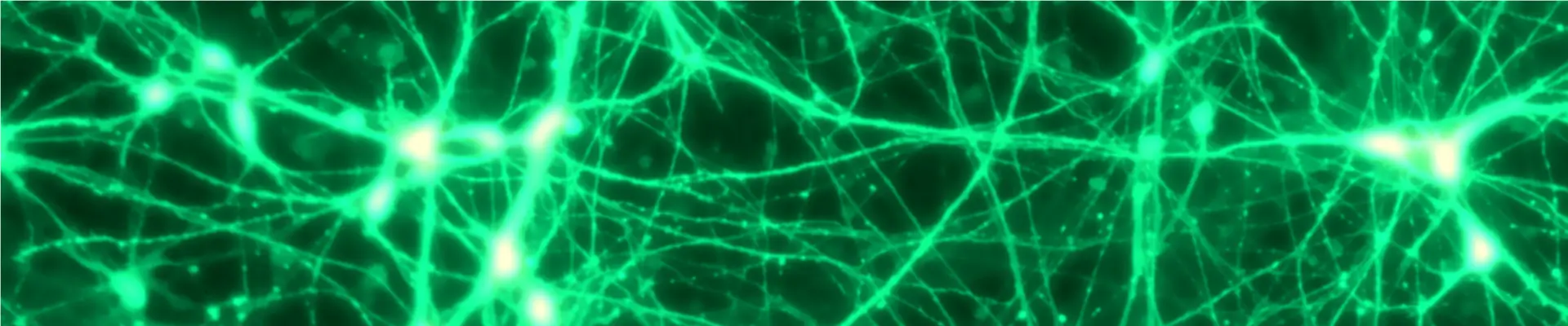 Lucus Orbital banner showcasing biology in microgravity